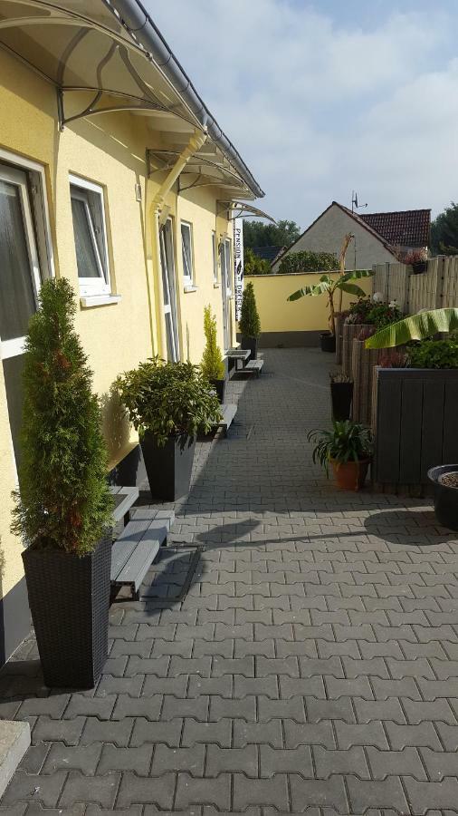 Pension Dreger Freimersheim  Екстериор снимка